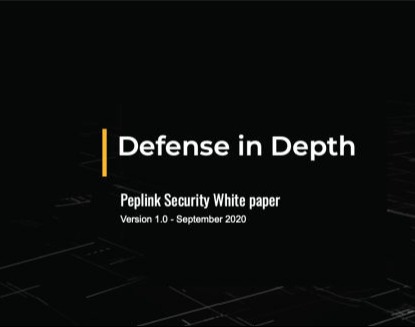 Peplink Defense