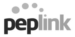 Peplink Cellular Router