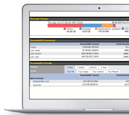 Peplink InControl2 report