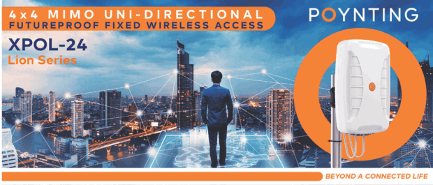 Poynting lion series